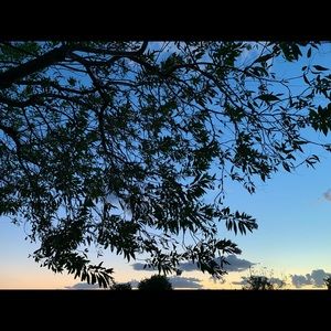 Meet your Posher, Jaycee